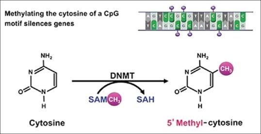 https://cdn.ncbi.nlm.nih.gov/pmc/blobs/3981/5596676/d0463fea2665/JOMFP-21-252-g002.jpg