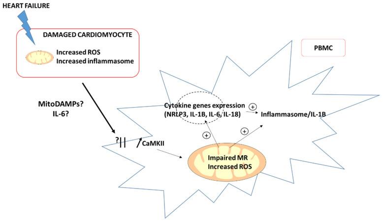 https://cdn.ncbi.nlm.nih.gov/pmc/blobs/3984/8836880/0634c9f535c8/jcm-11-00741-g002.jpg