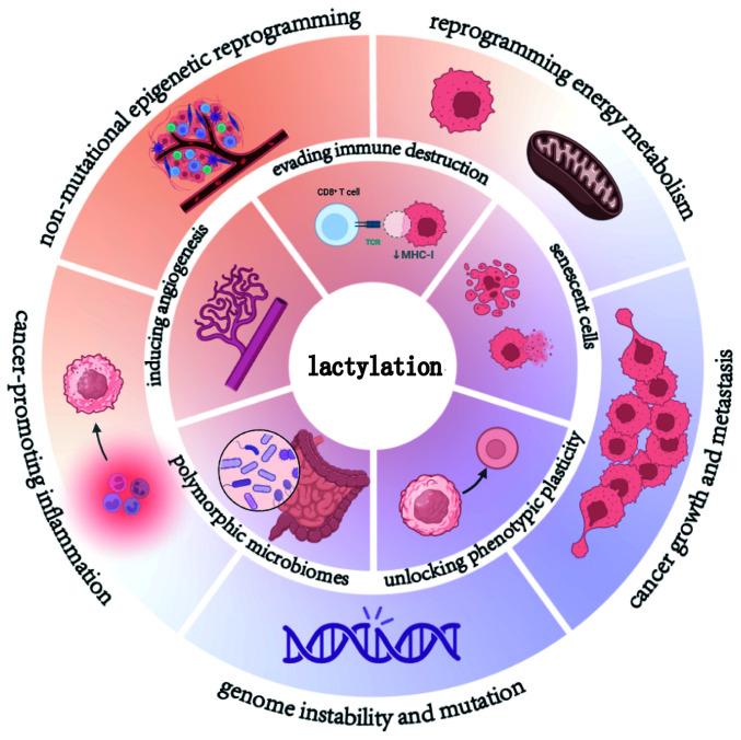 https://cdn.ncbi.nlm.nih.gov/pmc/blobs/3985/12400795/b9e4a498cd81/ol-30-05-15238-g01.jpg