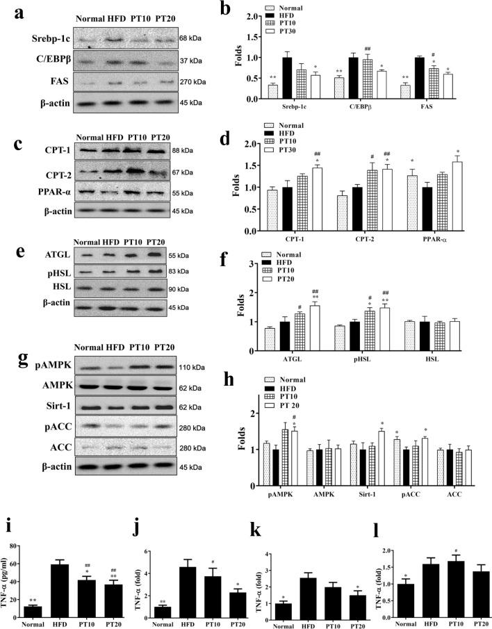 https://cdn.ncbi.nlm.nih.gov/pmc/blobs/3985/7526428/4af0cb2c005f/13578_2020_477_Fig4_HTML.jpg