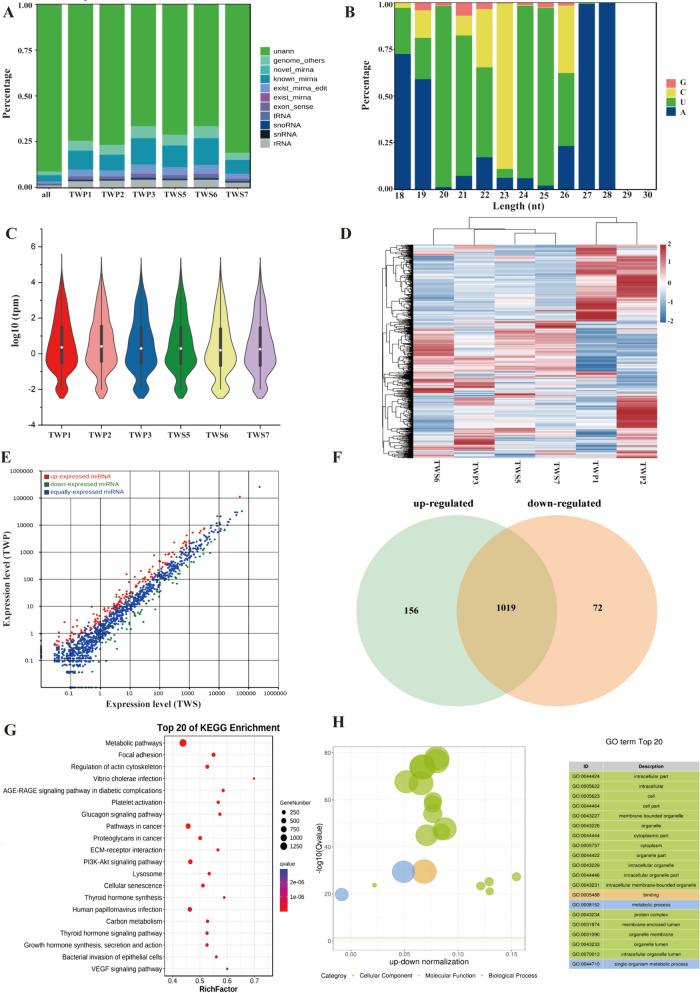 https://cdn.ncbi.nlm.nih.gov/pmc/blobs/3986/11161951/7b9ddf8cf4af/12864_2024_10427_Fig5_HTML.jpg