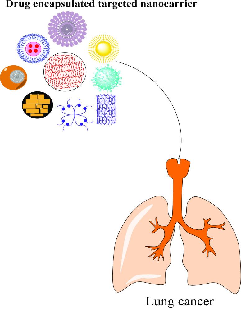 https://cdn.ncbi.nlm.nih.gov/pmc/blobs/3987/9835549/134bdb99bf26/ao2c04078_0001.jpg