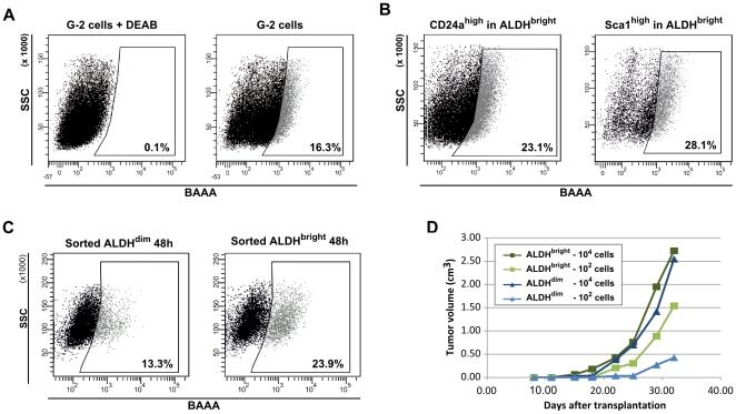 https://cdn.ncbi.nlm.nih.gov/pmc/blobs/3989/2920333/b901c8303507/pone.0012103.g012.jpg