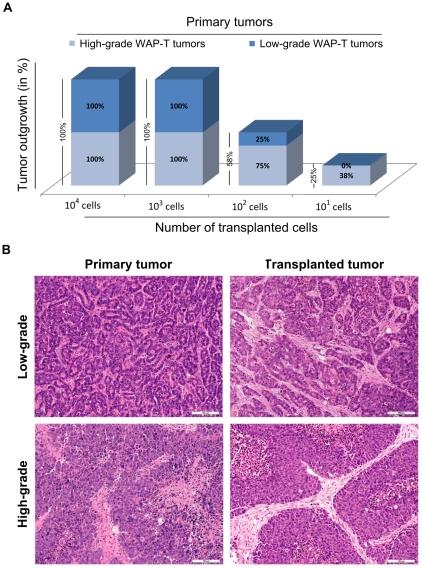 https://cdn.ncbi.nlm.nih.gov/pmc/blobs/3989/2920333/c4290245ef3f/pone.0012103.g001.jpg