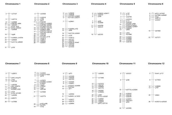 https://cdn.ncbi.nlm.nih.gov/pmc/blobs/3989/3298550/728dd639c291/1471-2164-12-568-1.jpg