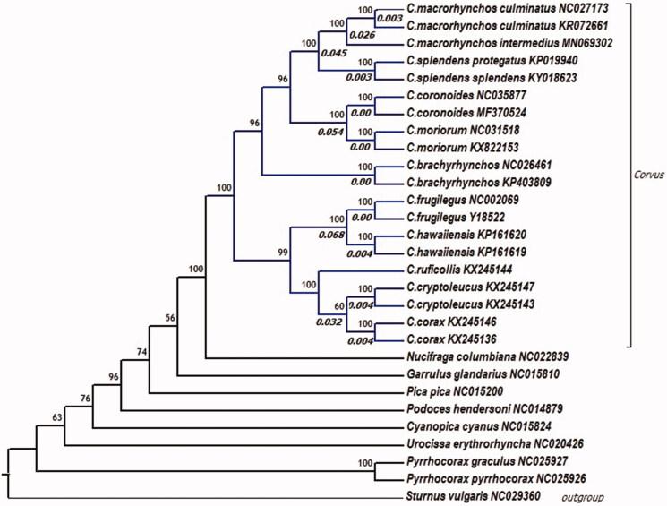 https://cdn.ncbi.nlm.nih.gov/pmc/blobs/398a/7748637/b69a434e7ccc/TMDN_A_1704637_F0001_C.jpg