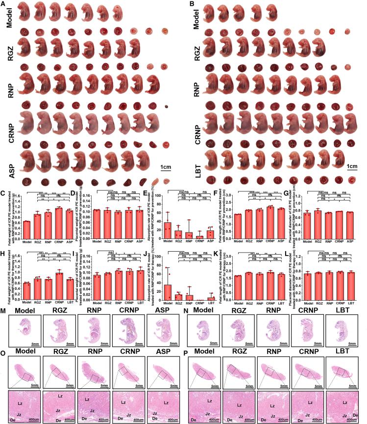https://cdn.ncbi.nlm.nih.gov/pmc/blobs/398b/12283557/a4ff31053fac/gr6.jpg