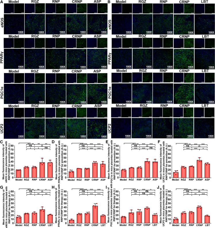 https://cdn.ncbi.nlm.nih.gov/pmc/blobs/398b/12283557/c146d653905b/gr7.jpg