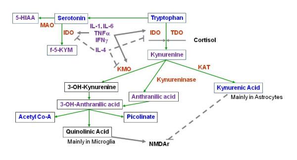 https://cdn.ncbi.nlm.nih.gov/pmc/blobs/398e/3177898/92d5446fac83/1742-2094-8-94-1.jpg