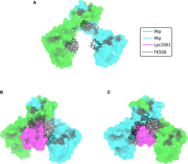 https://cdn.ncbi.nlm.nih.gov/pmc/blobs/3994/10017501/717d40f7a4df/fcimb-13-1140688-g005.jpg
