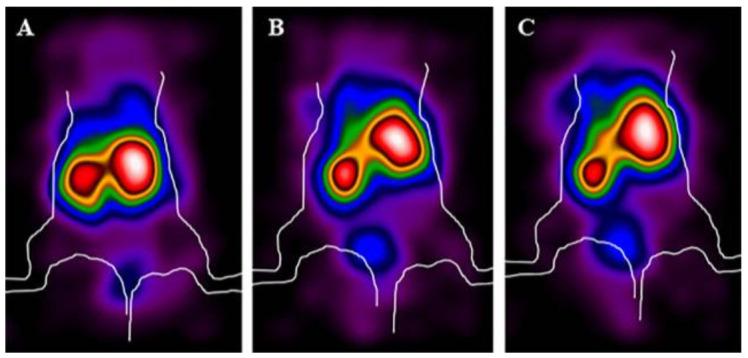 https://cdn.ncbi.nlm.nih.gov/pmc/blobs/3995/7915610/d32dc1420b00/biomolecules-11-00232-g005.jpg