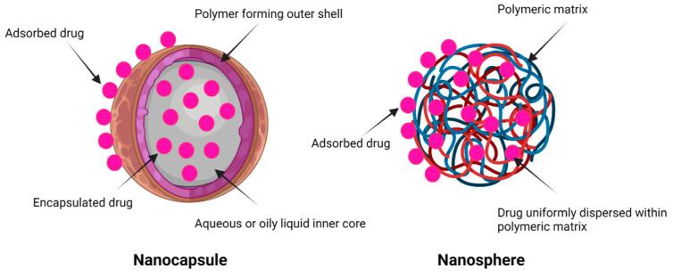 https://cdn.ncbi.nlm.nih.gov/pmc/blobs/3996/9964857/5d4be08af3eb/pharmaceutics-15-00657-g002.jpg