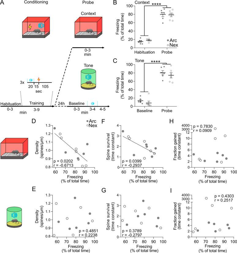 https://cdn.ncbi.nlm.nih.gov/pmc/blobs/3997/7665705/5cffa66a8ae7/pbio.3000928.g005.jpg