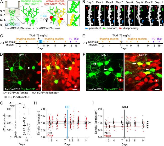 https://cdn.ncbi.nlm.nih.gov/pmc/blobs/3997/7665705/8d97340bb3e2/pbio.3000928.g002.jpg