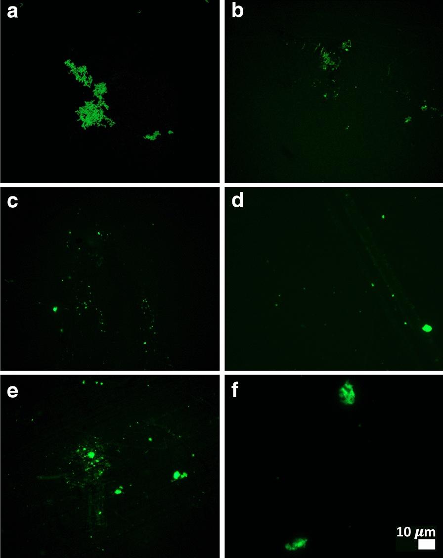 https://cdn.ncbi.nlm.nih.gov/pmc/blobs/3998/7670713/4c81f8fd8f84/12933_2020_1165_Fig3_HTML.jpg
