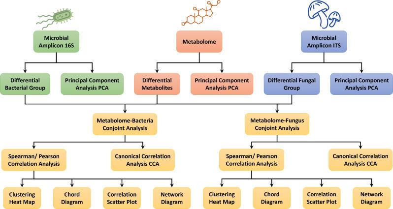 https://cdn.ncbi.nlm.nih.gov/pmc/blobs/399a/12038974/ac1f99096203/12870_2025_6574_Fig2_HTML.jpg