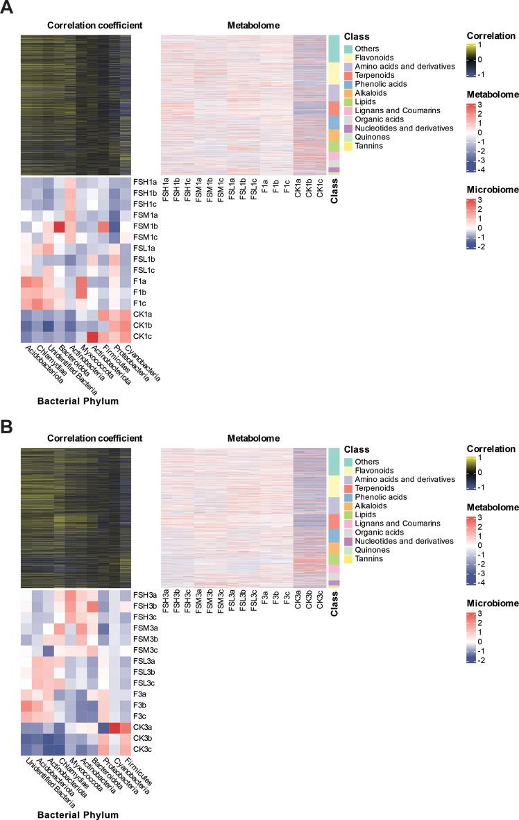 https://cdn.ncbi.nlm.nih.gov/pmc/blobs/399a/12038974/f31ec4bf16ed/12870_2025_6574_Fig12_HTML.jpg