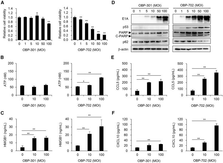 https://cdn.ncbi.nlm.nih.gov/pmc/blobs/399c/11300929/3686b62e5d19/gr3.jpg