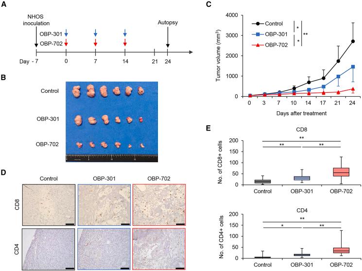 https://cdn.ncbi.nlm.nih.gov/pmc/blobs/399c/11300929/3876c3640b52/gr4.jpg