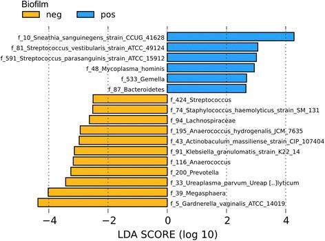 https://cdn.ncbi.nlm.nih.gov/pmc/blobs/399e/5598074/d765fd601e4a/40168_2017_326_Fig3_HTML.jpg