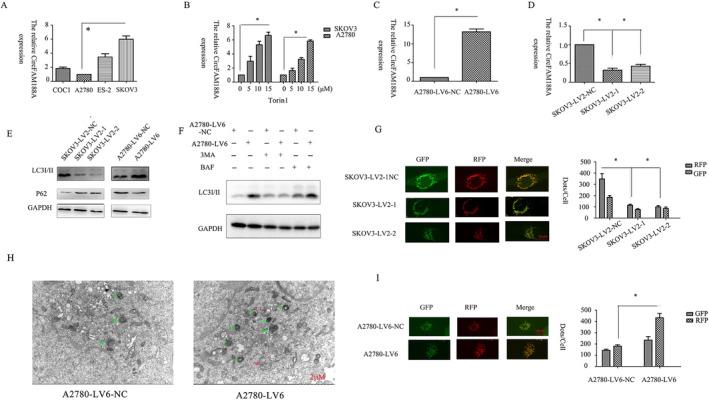 https://cdn.ncbi.nlm.nih.gov/pmc/blobs/399f/11372287/1156e604f322/CNR2-7-e2128-g003.jpg