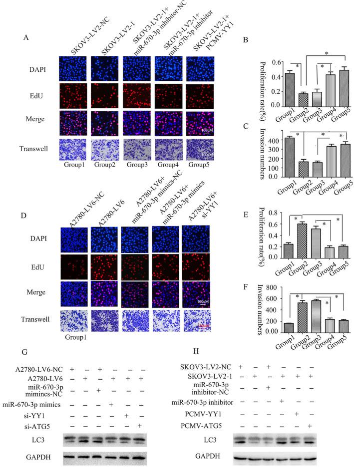 https://cdn.ncbi.nlm.nih.gov/pmc/blobs/399f/11372287/845459b2fce0/CNR2-7-e2128-g005.jpg