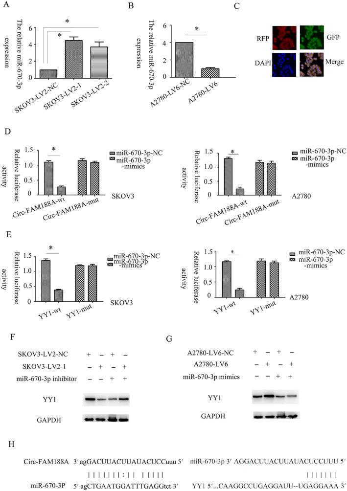 https://cdn.ncbi.nlm.nih.gov/pmc/blobs/399f/11372287/cb25c9a43ef8/CNR2-7-e2128-g006.jpg