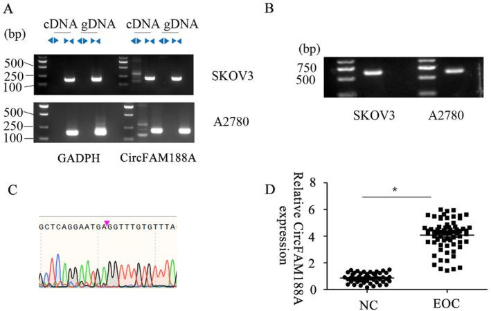 https://cdn.ncbi.nlm.nih.gov/pmc/blobs/399f/11372287/d0b764e86626/CNR2-7-e2128-g007.jpg