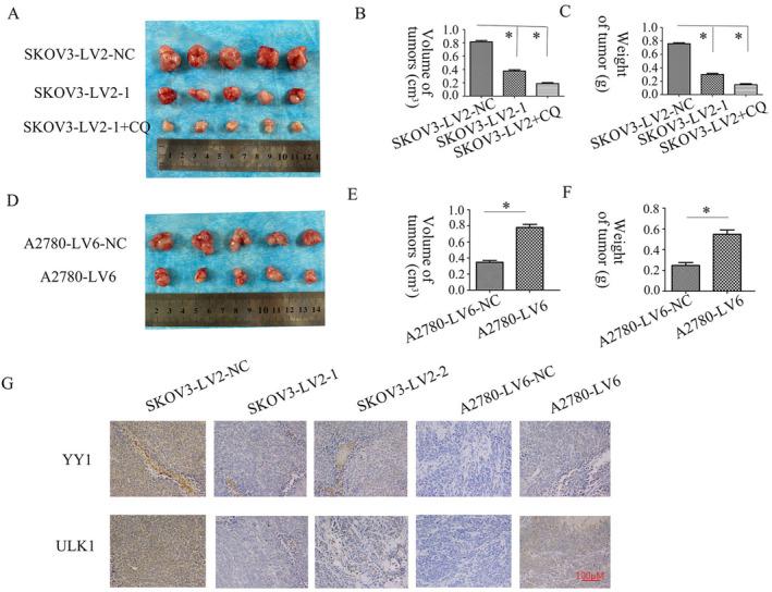 https://cdn.ncbi.nlm.nih.gov/pmc/blobs/399f/11372287/d7f3c9e026c4/CNR2-7-e2128-g001.jpg
