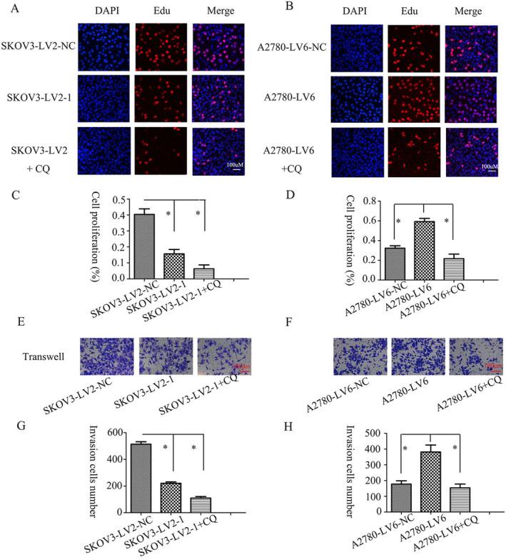 https://cdn.ncbi.nlm.nih.gov/pmc/blobs/399f/11372287/edb5176d9f33/CNR2-7-e2128-g002.jpg