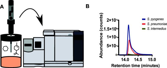 https://cdn.ncbi.nlm.nih.gov/pmc/blobs/39a0/10597408/1bdd46260478/msphere.00194-23.f001.jpg