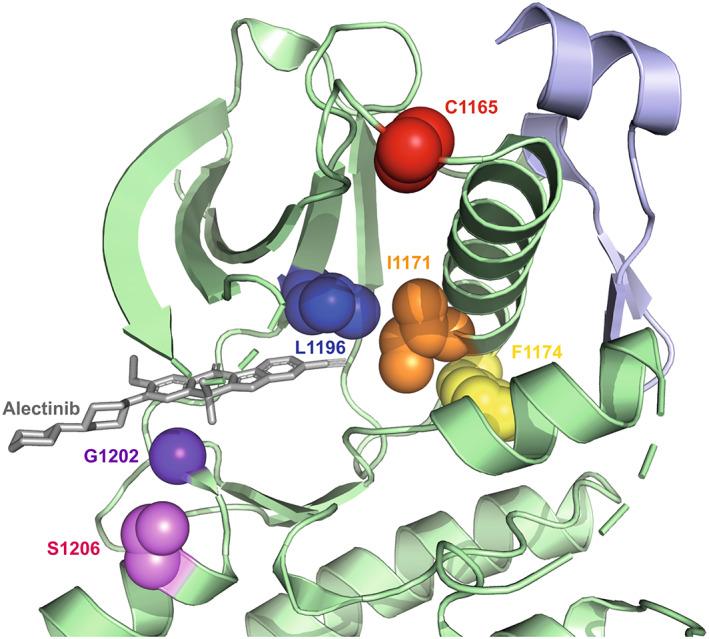 https://cdn.ncbi.nlm.nih.gov/pmc/blobs/39a2/10257413/9d4dacd73e76/MOL2-17-950-g003.jpg