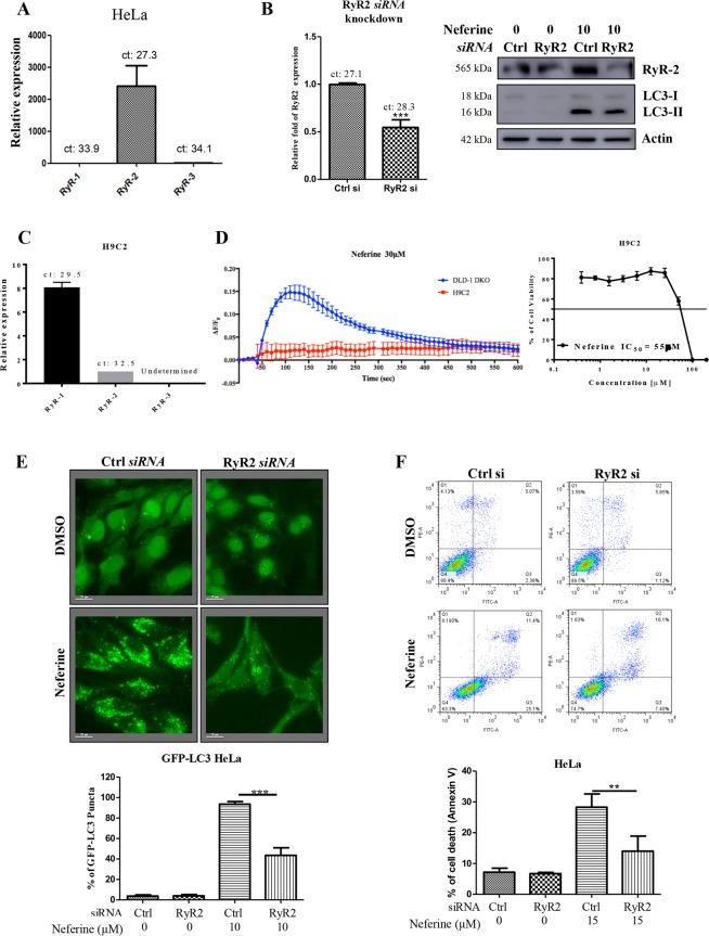 https://cdn.ncbi.nlm.nih.gov/pmc/blobs/39a2/6934498/a9a4f895daaa/41598_2019_56675_Fig6_HTML.jpg