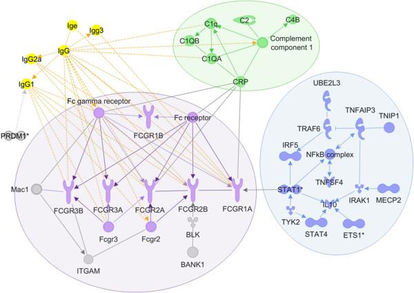 https://cdn.ncbi.nlm.nih.gov/pmc/blobs/39a3/3551738/1f7f29d99189/1750-1172-8-2-3.jpg