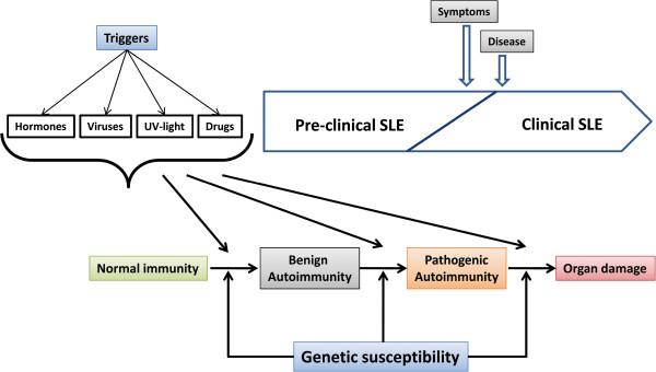 https://cdn.ncbi.nlm.nih.gov/pmc/blobs/39a3/3551738/98f4d3a8b556/1750-1172-8-2-1.jpg
