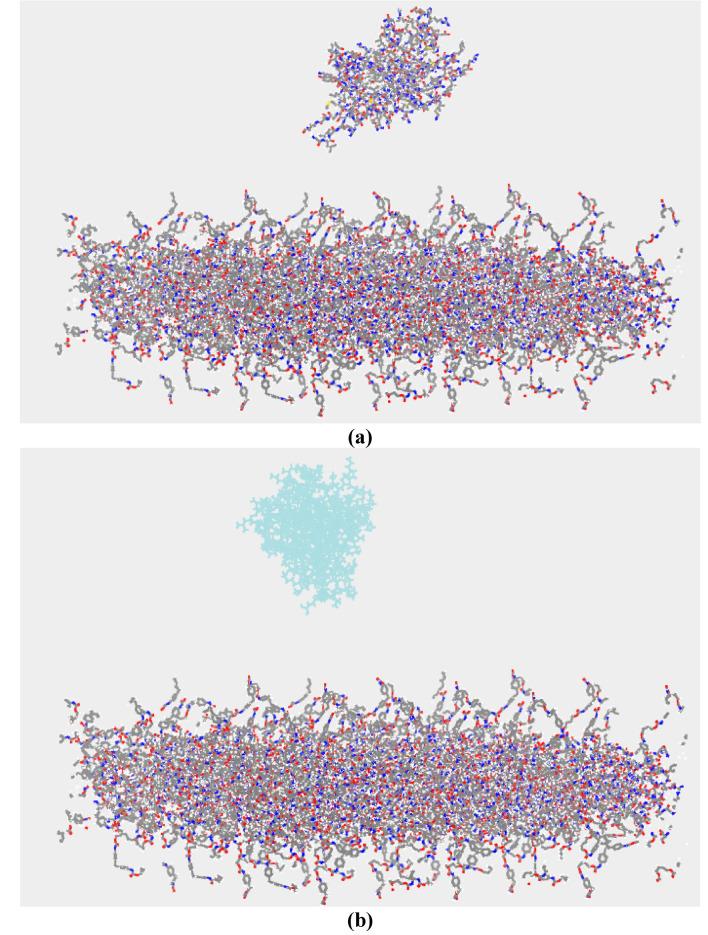 https://cdn.ncbi.nlm.nih.gov/pmc/blobs/39a4/12069603/0fb5b8b64870/41598_2025_1545_Fig11_HTML.jpg