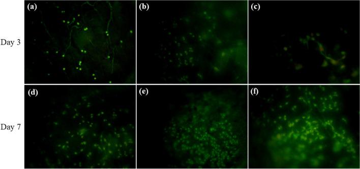 https://cdn.ncbi.nlm.nih.gov/pmc/blobs/39a4/12069603/4a2a710bd362/41598_2025_1545_Fig14_HTML.jpg