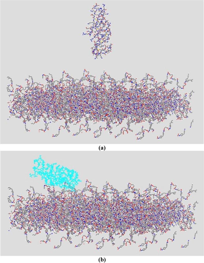 https://cdn.ncbi.nlm.nih.gov/pmc/blobs/39a4/12069603/4bd6be5d8c30/41598_2025_1545_Fig8_HTML.jpg