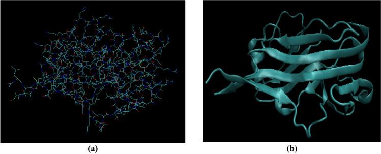 https://cdn.ncbi.nlm.nih.gov/pmc/blobs/39a4/12069603/96e72b1b8abb/41598_2025_1545_Fig5_HTML.jpg