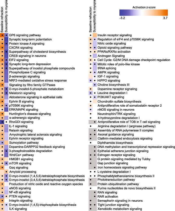 https://cdn.ncbi.nlm.nih.gov/pmc/blobs/39a5/6668126/3e041aa0b473/12920_2019_560_Fig5_HTML.jpg