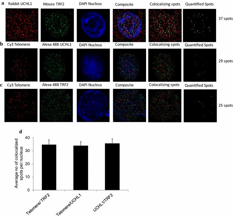 https://cdn.ncbi.nlm.nih.gov/pmc/blobs/39a6/5681776/43efe24a9c4b/13072_2017_160_Fig6_HTML.jpg