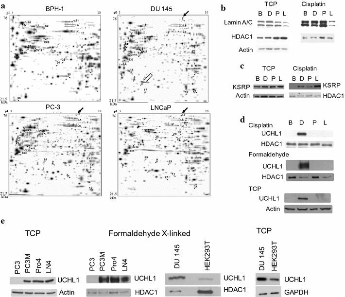 https://cdn.ncbi.nlm.nih.gov/pmc/blobs/39a6/5681776/b0df0df3a4d9/13072_2017_160_Fig1_HTML.jpg