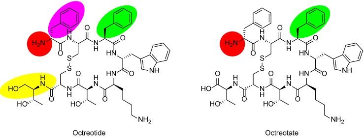 https://cdn.ncbi.nlm.nih.gov/pmc/blobs/39a7/6401503/d95cc2f4ccf2/thnov09p1336g001.jpg