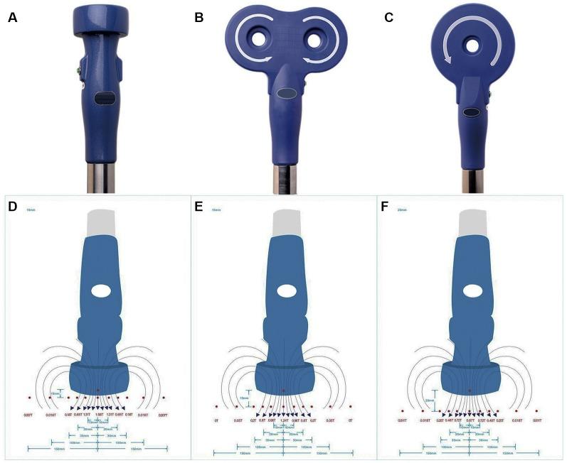 https://cdn.ncbi.nlm.nih.gov/pmc/blobs/39a8/7025559/df3c74a79d06/fncel-13-00584-g0001.jpg