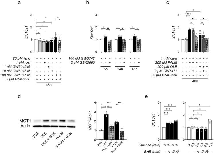 https://cdn.ncbi.nlm.nih.gov/pmc/blobs/39a9/11003008/a9090e069669/12987_2024_526_Fig6_HTML.jpg