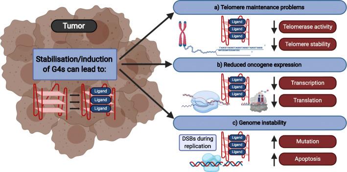 https://cdn.ncbi.nlm.nih.gov/pmc/blobs/39aa/7905668/a354d579e488/12943_2021_1328_Fig1_HTML.jpg