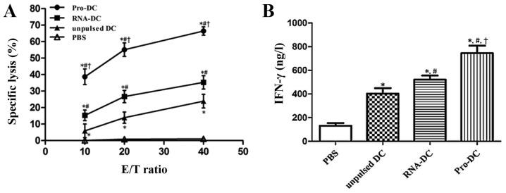https://cdn.ncbi.nlm.nih.gov/pmc/blobs/39ab/6865088/2d60b137d74b/ol-18-06-5897-g05.jpg