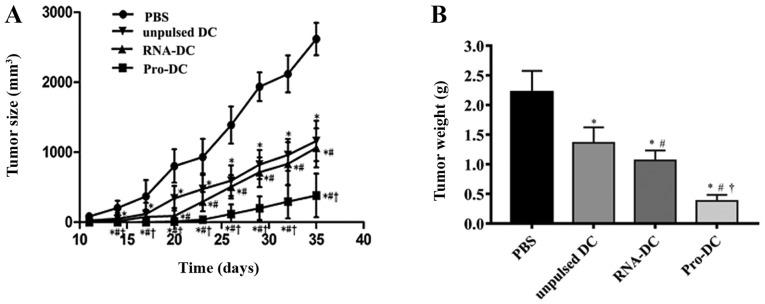 https://cdn.ncbi.nlm.nih.gov/pmc/blobs/39ab/6865088/e8db4a94fa07/ol-18-06-5897-g03.jpg