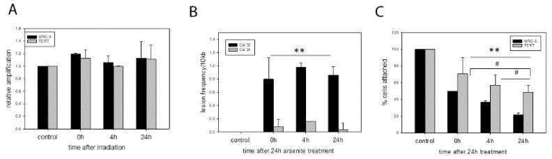 https://cdn.ncbi.nlm.nih.gov/pmc/blobs/39ad/6981674/78ce6c16a17e/ijms-21-00027-g001.jpg