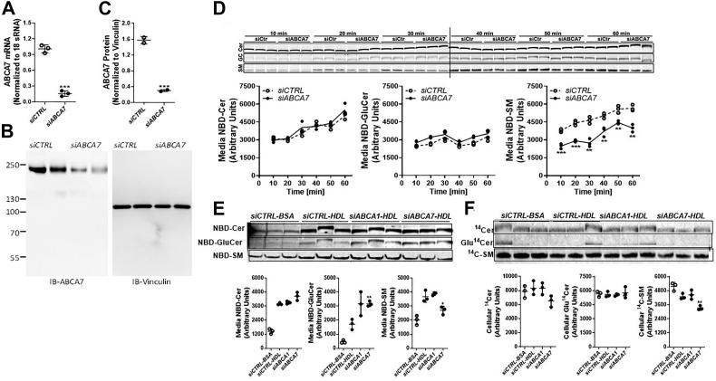 https://cdn.ncbi.nlm.nih.gov/pmc/blobs/39ad/9513280/d27c0c311179/gr2.jpg